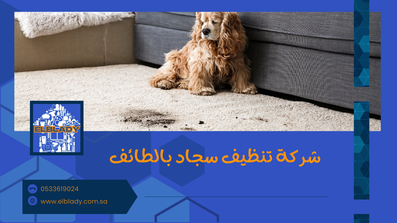 شركة تنظيف سجاد بالطائف